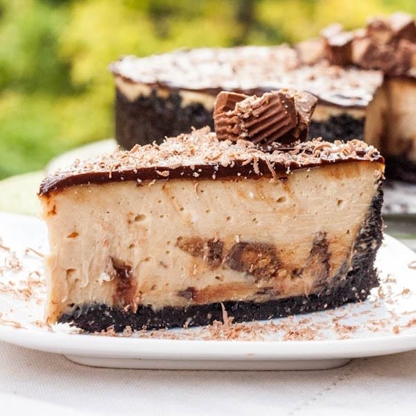 reese's peanut butter cheesecake