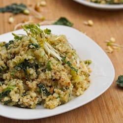 Kale-and-Alfalfa-Quinoa-Salad-with-Avocado