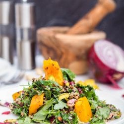 Vegan Squash Quinoa Salad with Cranberries and Pistachios