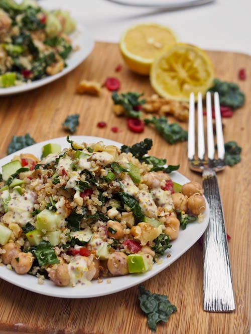Kale quinoa salad with cranberries, walnuts, chickpeas and apples