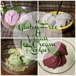 10 Gluten-Free and Vegan Ice Cream Recipes FI