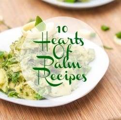 10 Hearts of Palm Recipes
