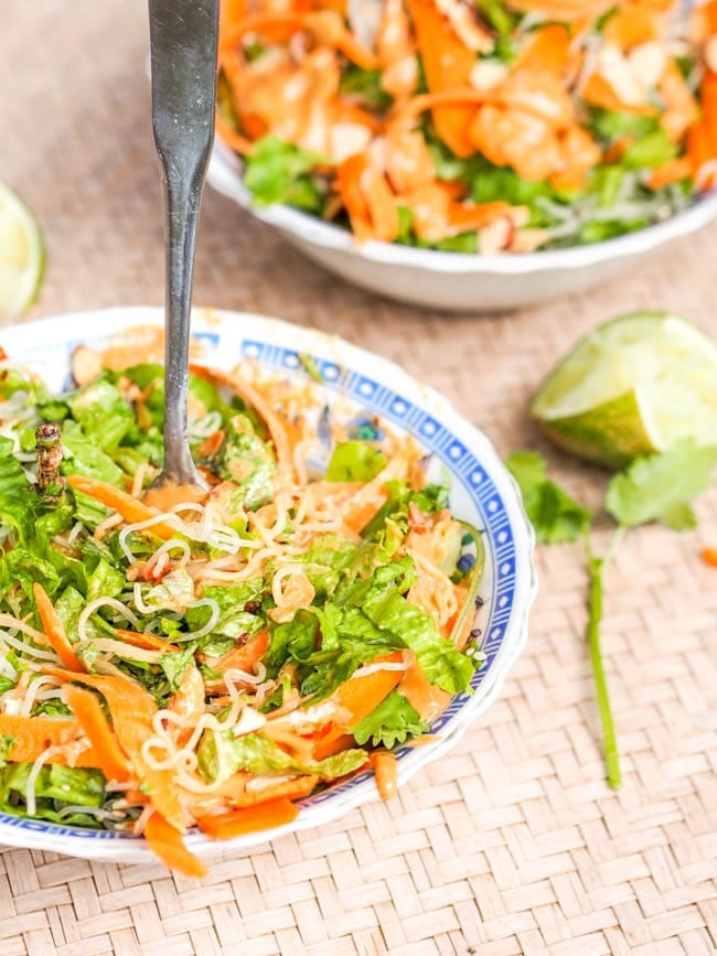 Vegan Asian Carrot Noodles in a salad ready to eat