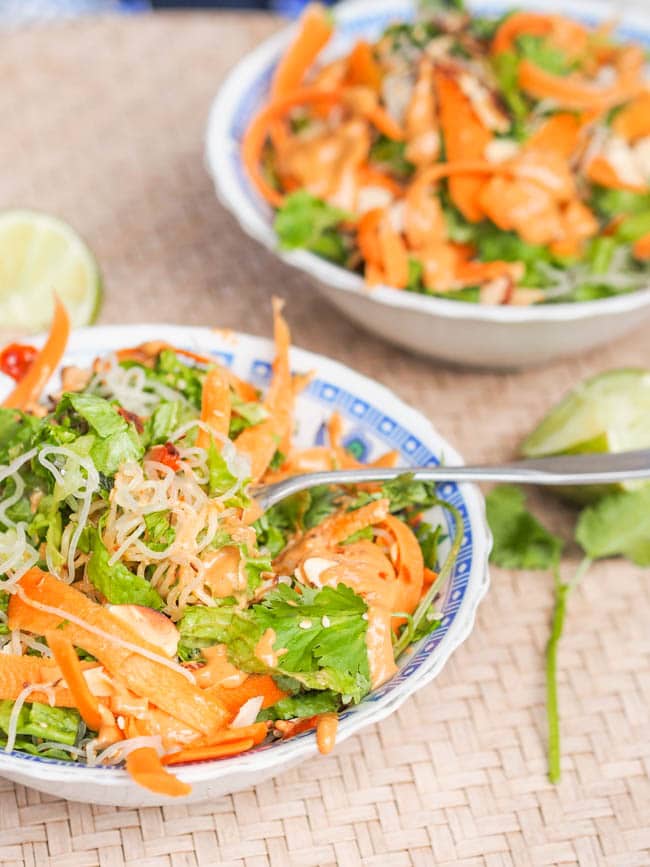 Vegan Asian Carrot Noodles all mixed with tahini dressing
