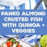 panko crusted fish pin