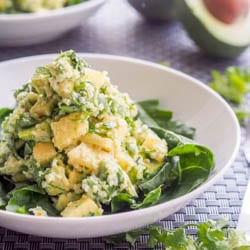 This 10 minute 6 ingredient vegan quinoa avocado salad is bursting with fresh and vibrant flavors. Creamy avocado + fluffy quinoa + citrusy pineapple = perfection. Healthy and delicious. Perfect for lunch or a light dinner | avocadopesto.com