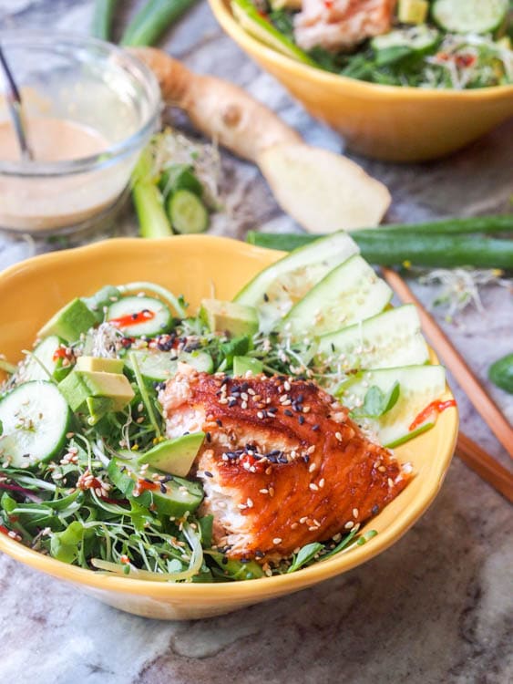 Asian Salmon Salad 